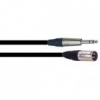 Velleman CABLE XLR MALE / JACK MALE PRO STEREO 6M